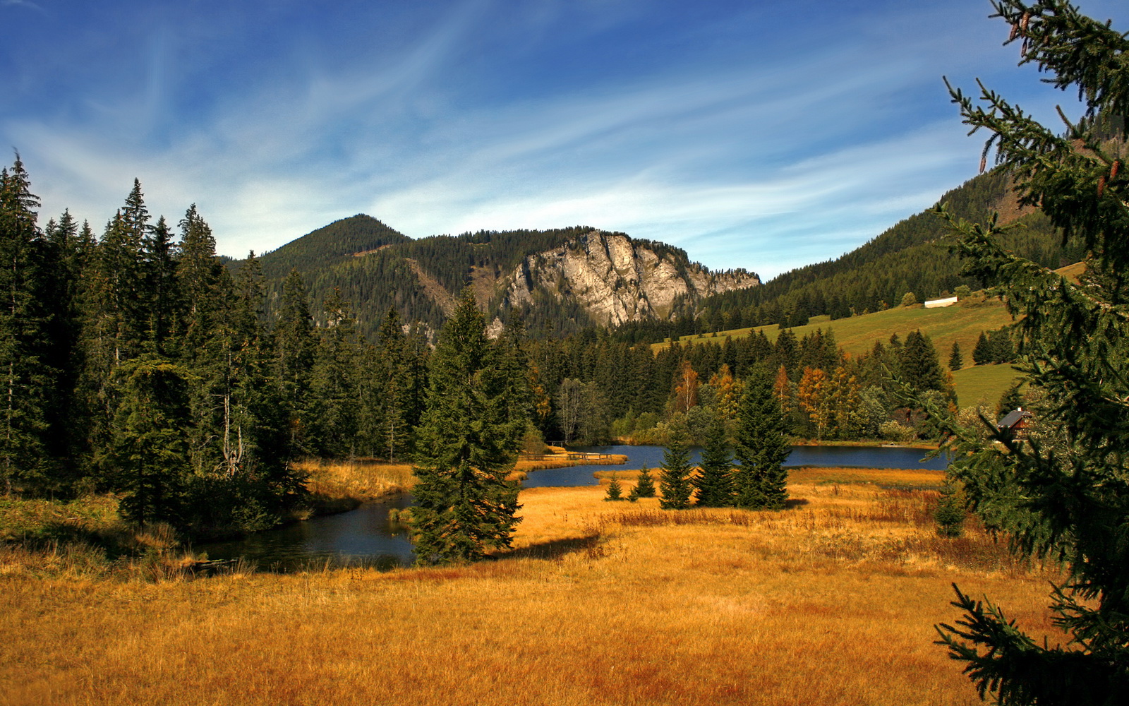 今年联盟三分球命中率排名靠前的队伍都有哪些?,2021nba三分球命中率
