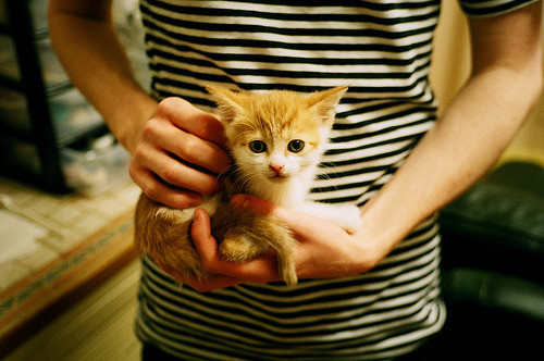 英超球队在青训及技术创新方面加大投入,英超青训怎么算