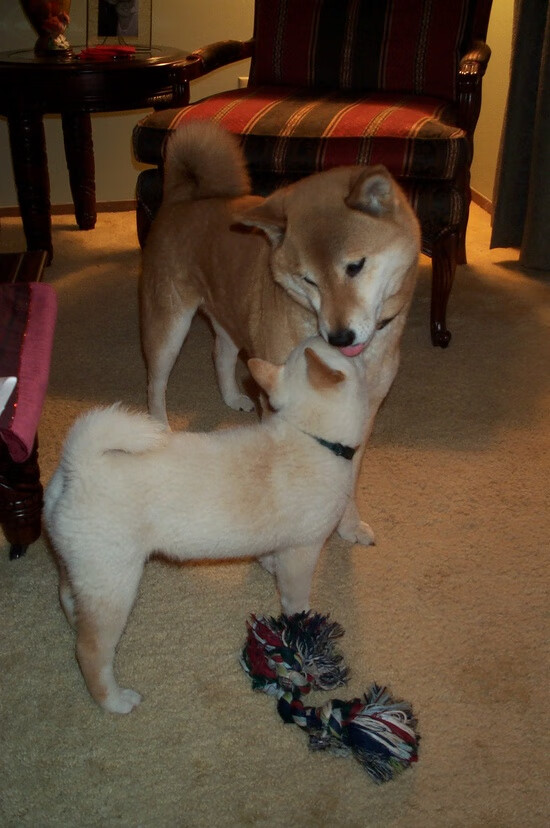 赛事奖牌设计:富有文化特色的创意作品,参赛奖牌上写什么