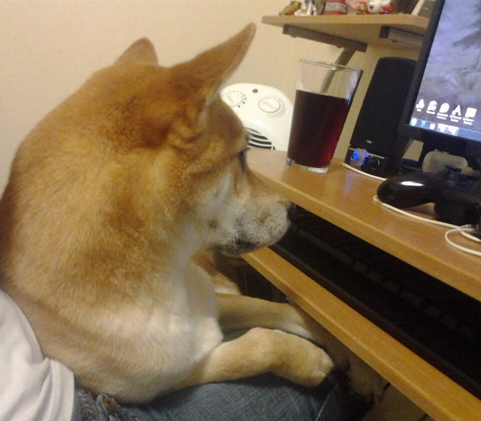 kaiyun官方网站-中国女篮亚运再夺冠，全队六人得分上双，中国女篮亚运会冠军