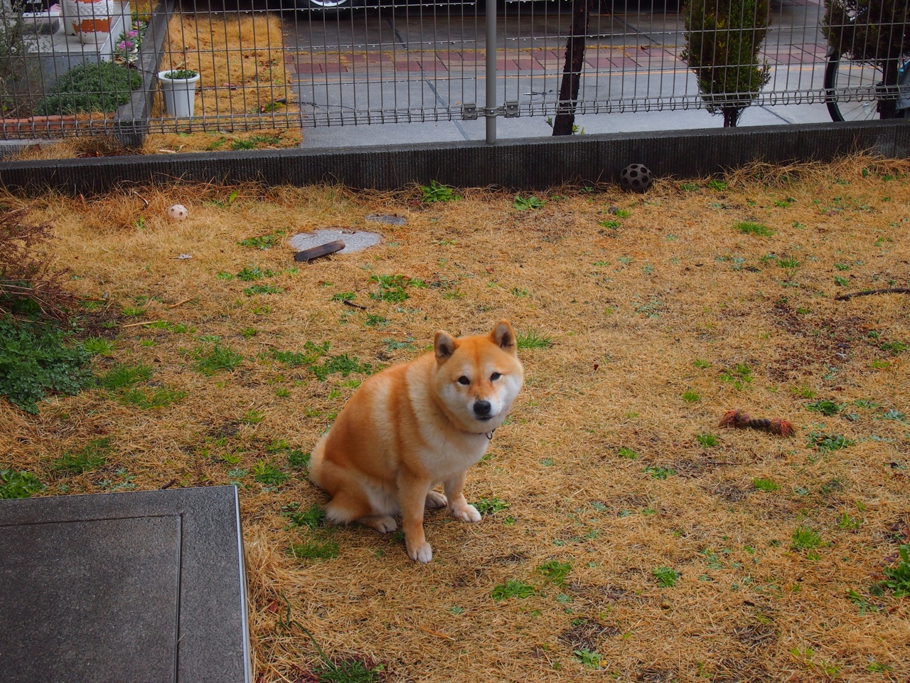 不莱梅豪取连胜,球队全力备战接下来的重要比赛,不莱梅青训