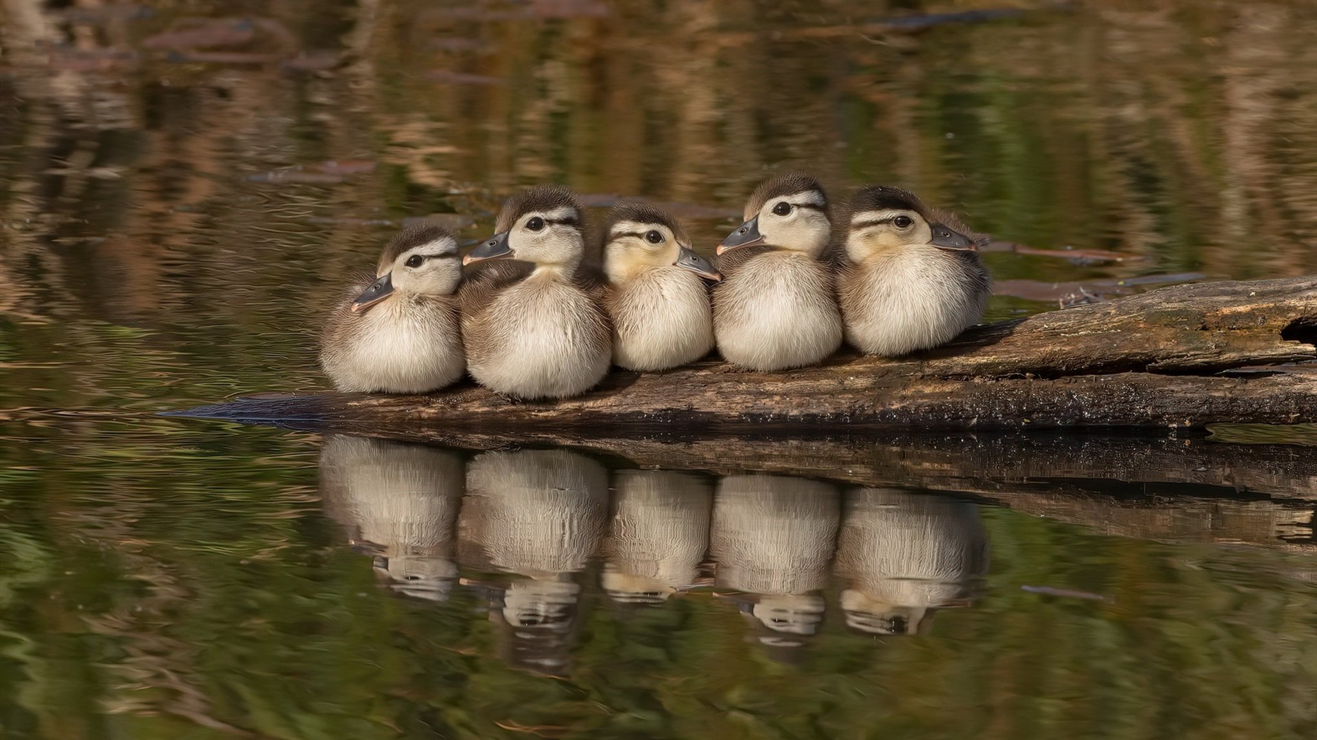 亚洲球队备战国际比赛,展现强大实力,亚洲预选赛球队