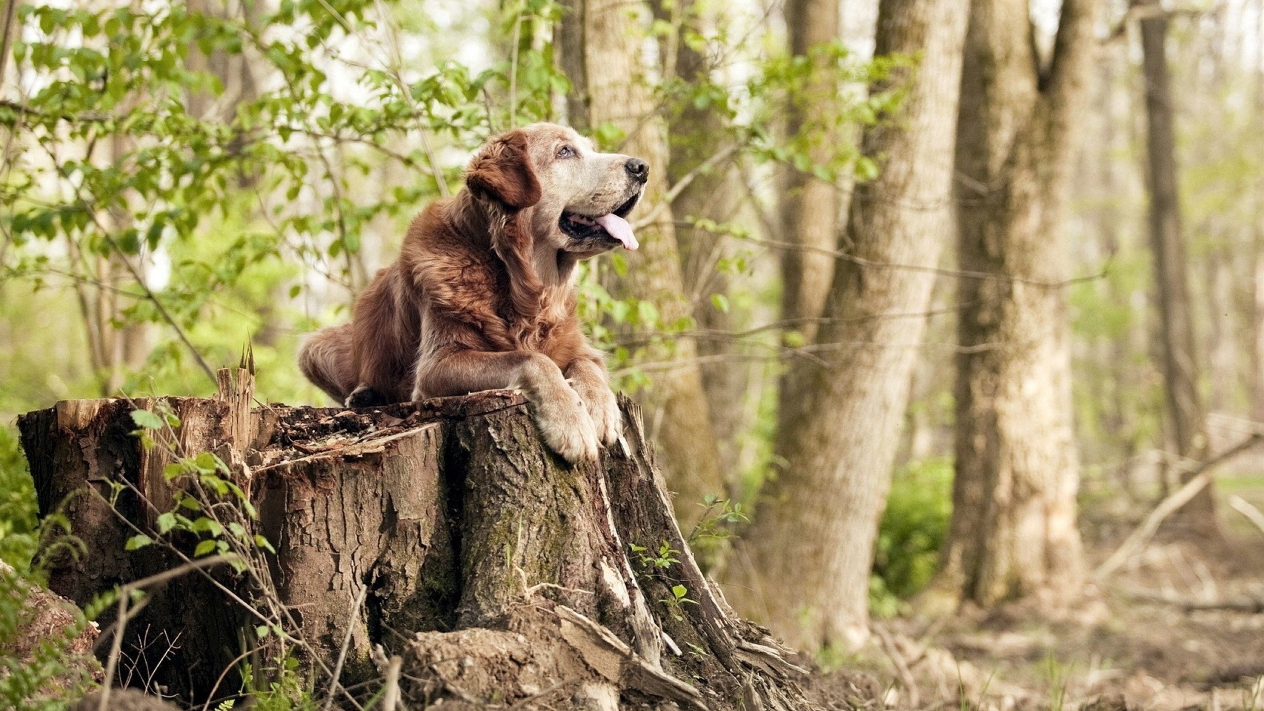 全北现代连续多场比赛不败,全北现代今天比赛结果